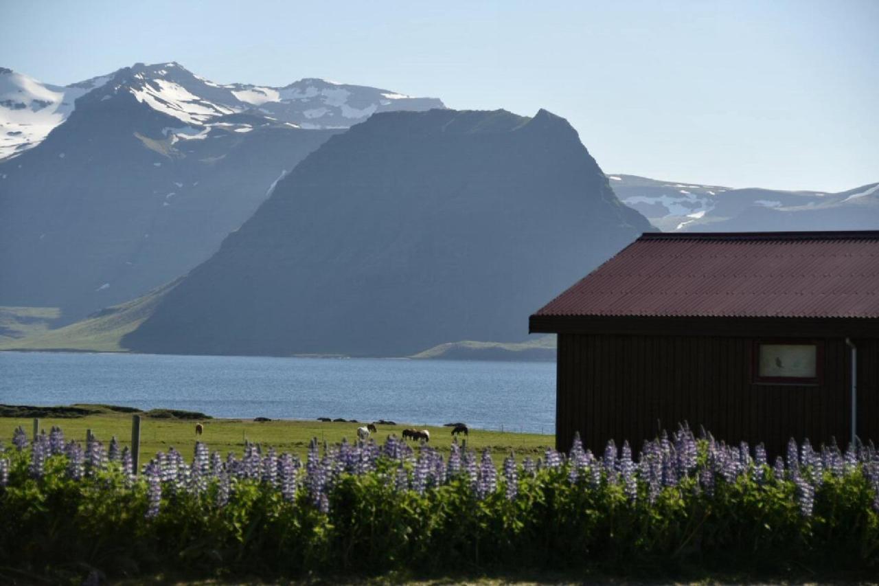 Sudur-Bar Guesthouse グルンダルフィヨルズル エクステリア 写真