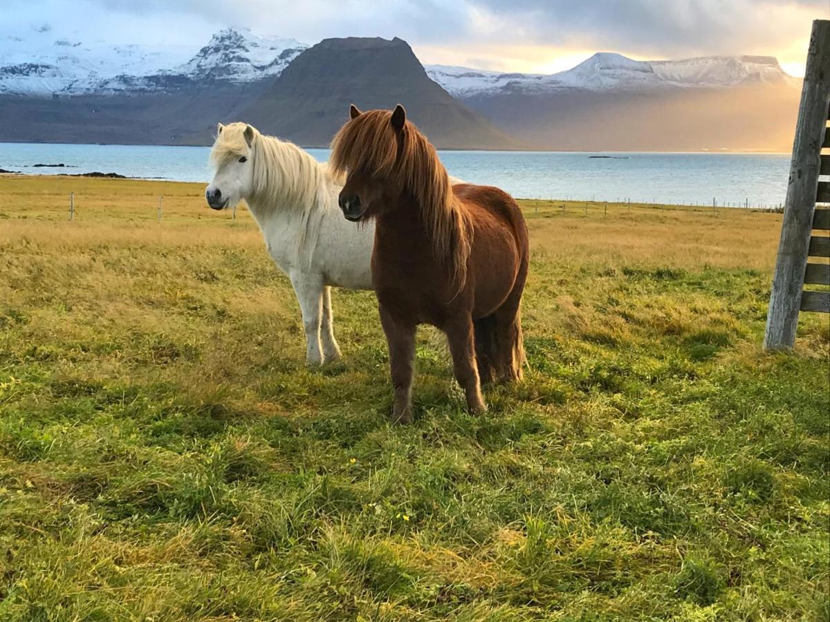 Sudur-Bar Guesthouse グルンダルフィヨルズル エクステリア 写真